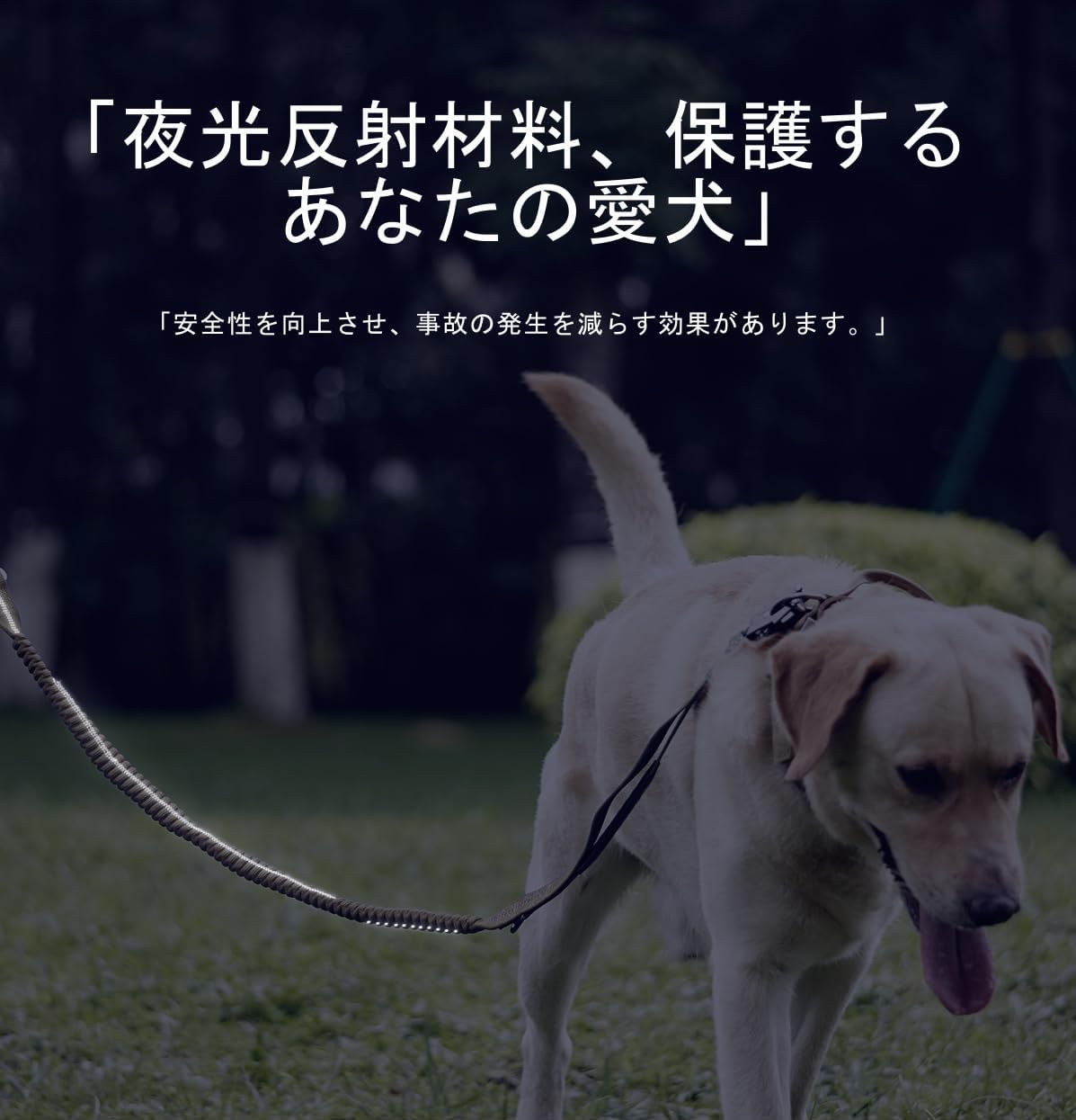 Amazon | Chaoos 大型犬 リード 犬 リード 伸縮 犬リード小型犬 リード